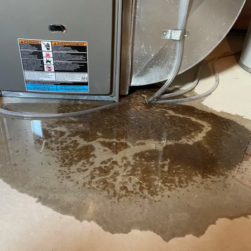 Appliance Leak Cleanup in Valley Grande, AL